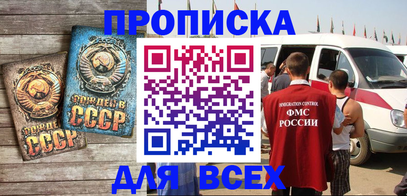 временная регистрация собственник в Пласте